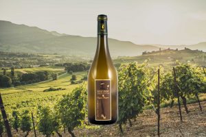 Chignin Bergeron, prince des Chignin, vin de Savoie