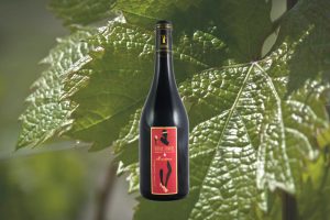 Mondeuse vieilles vignes, vin élaboré en Savoie