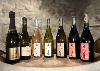 domaine jean-charles girard-madoux domaine jean-charles girard-madoux